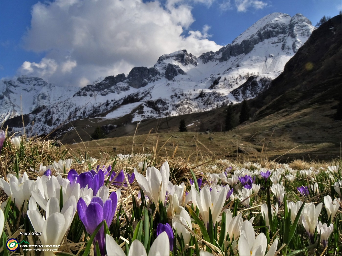 71 Il bianco delle nuvole, della neve , dei crocus bianchi e violetti...JPG